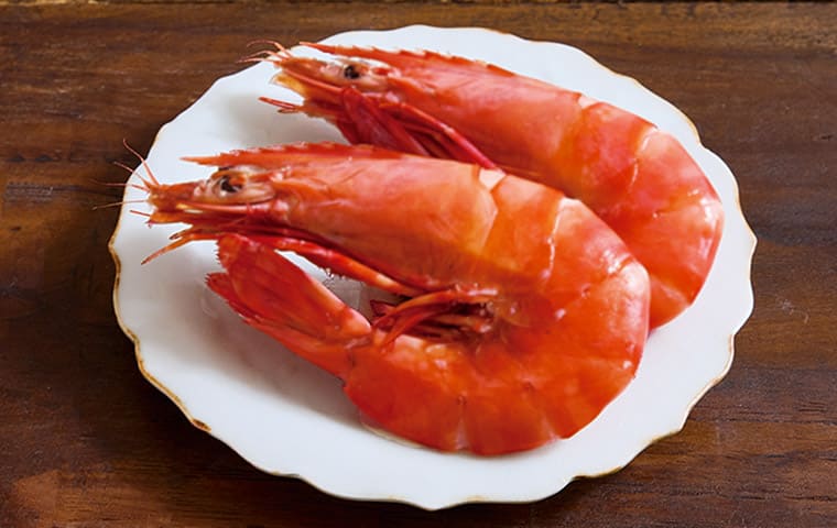 つの字海老